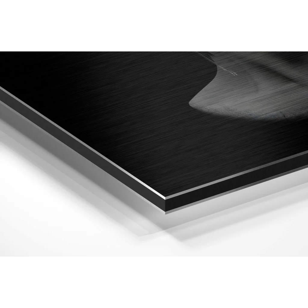 Glass Wall Art Brushed aluminium dibond art print with metal-framed grayscale portrait