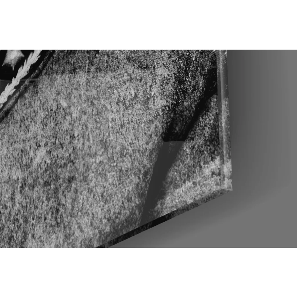 Textured monochrome Atatürk glass wall art portrait on canvas