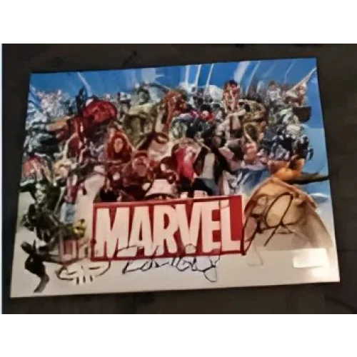 Signed Marvel Comics poster featuring Robert Downey Jr and Jon Bernthal 8x10 photo