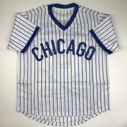 Autographed Andre Dawson Chicago White Pinstripe Baseball Jersey JSA COA | Authenticated Signed Sports Jersey | vintageantiquesgifts.com