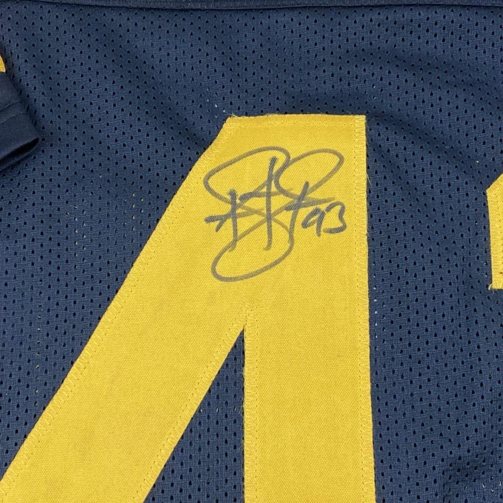 Blue and yellow custom jersey with black marker autograph from Troy Polamalu, perfect for professional sports fans
