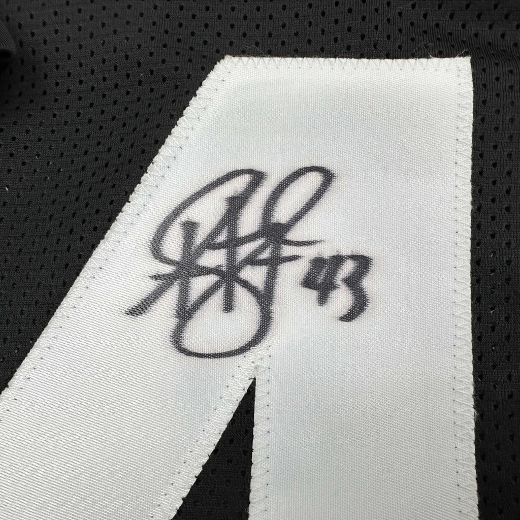 Autographed Troy Polamalu Pittsburgh Steelers retro black jersey with JSA COA