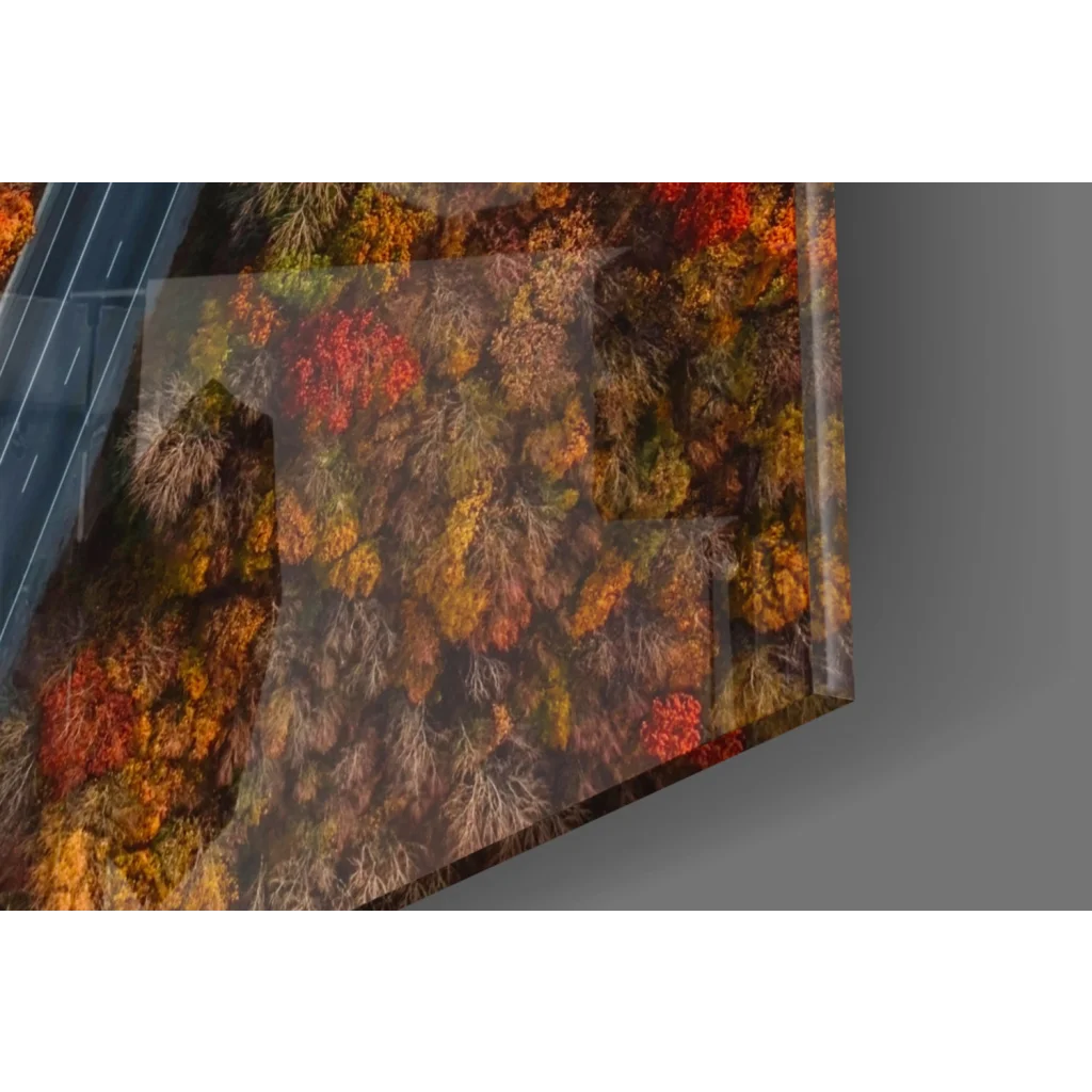 Vibrant autumn forest road aerial view on clear glass wall art panel