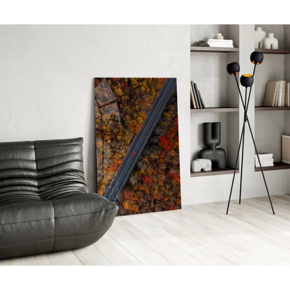 Vibrant autumn forest road aerial view on glass wall art print