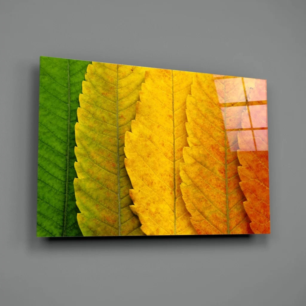 Vibrant autumn leaves wall art canvas print in green, yellow, orange