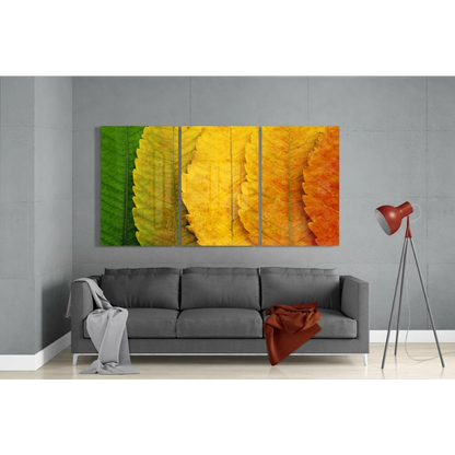 Vibrant autumn leaves glass wall art triptych in green yellow orange