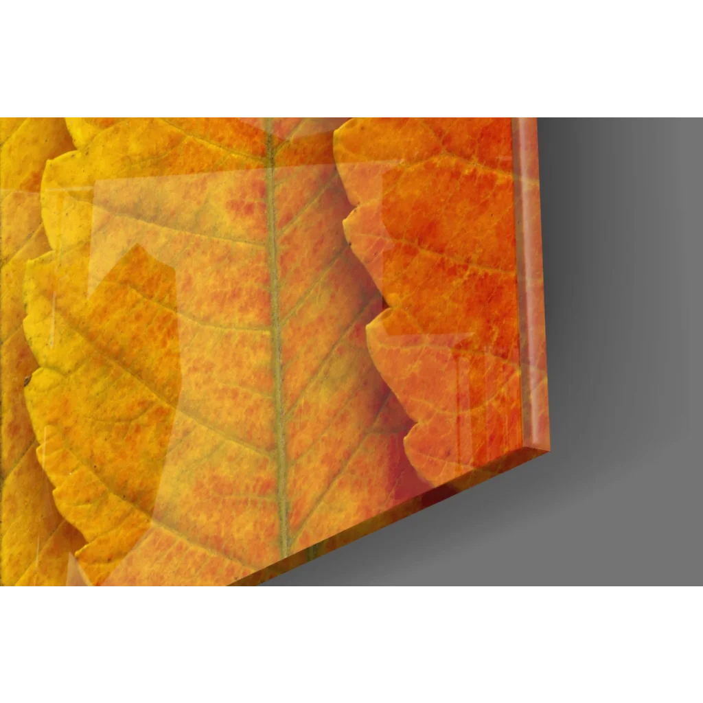 Vibrant autumn leaves glass wall art in orange yellow green