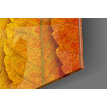 Vibrant autumn leaves glass wall art in orange yellow green