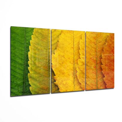 Autumn leaves glass wall art triptych in green to orange gradient