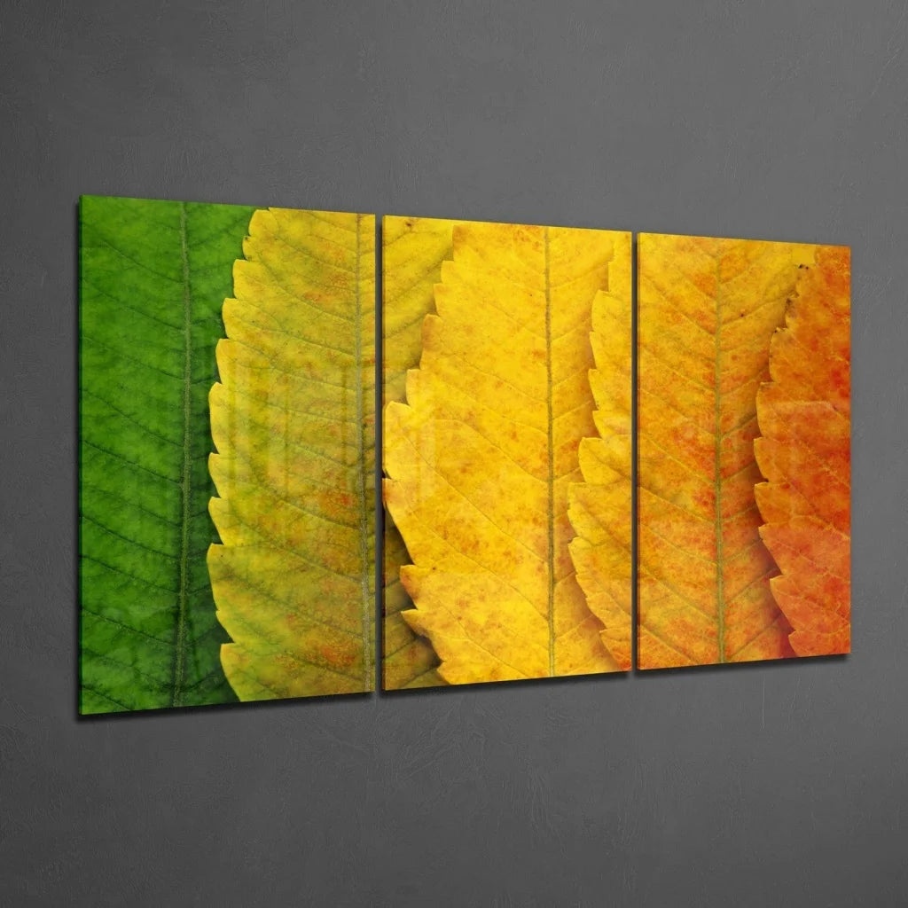 Autumn leaves glass wall art triptych in green yellow orange