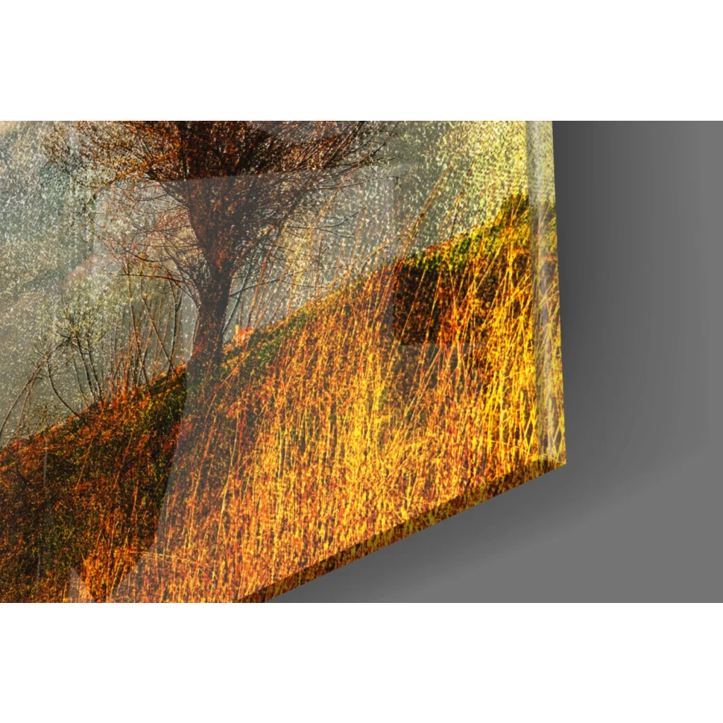 Vibrant autumn trees glass wall art with golden sky and foliage
