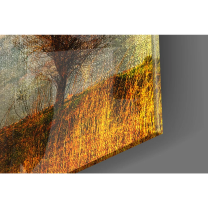 Vibrant autumn trees glass wall art with golden sky and foliage