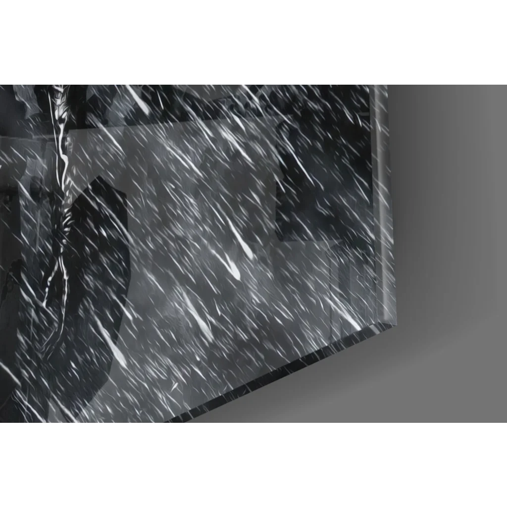Sleek transparent glass wall art panel with glossy finish and reflections