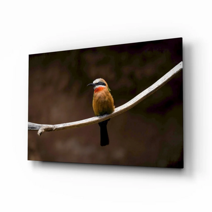 Vibrant orange bird wall art canvas print on moody branch