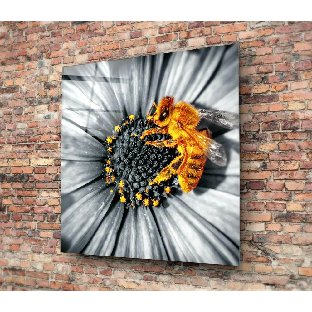 Vibrant orange bee on black-and-white flower in selective color glass wall art