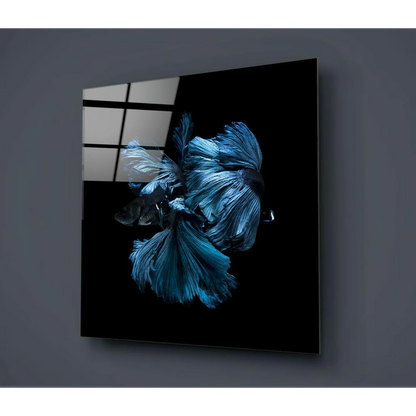 Stunning blue betta fish glass wall art on black acrylic panel