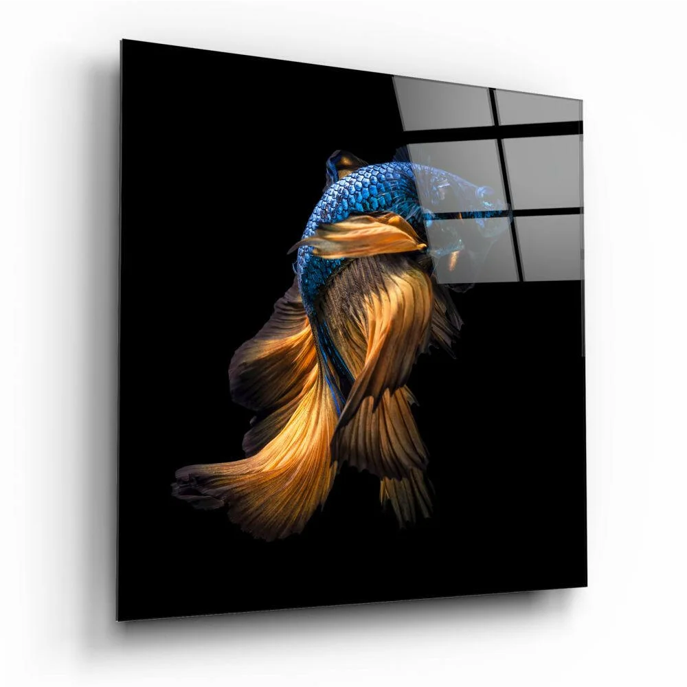 Stunning Betta Fish Glass Wall Art in Blue and Gold | Insigneart USA | vintageantiquesgifts.com
