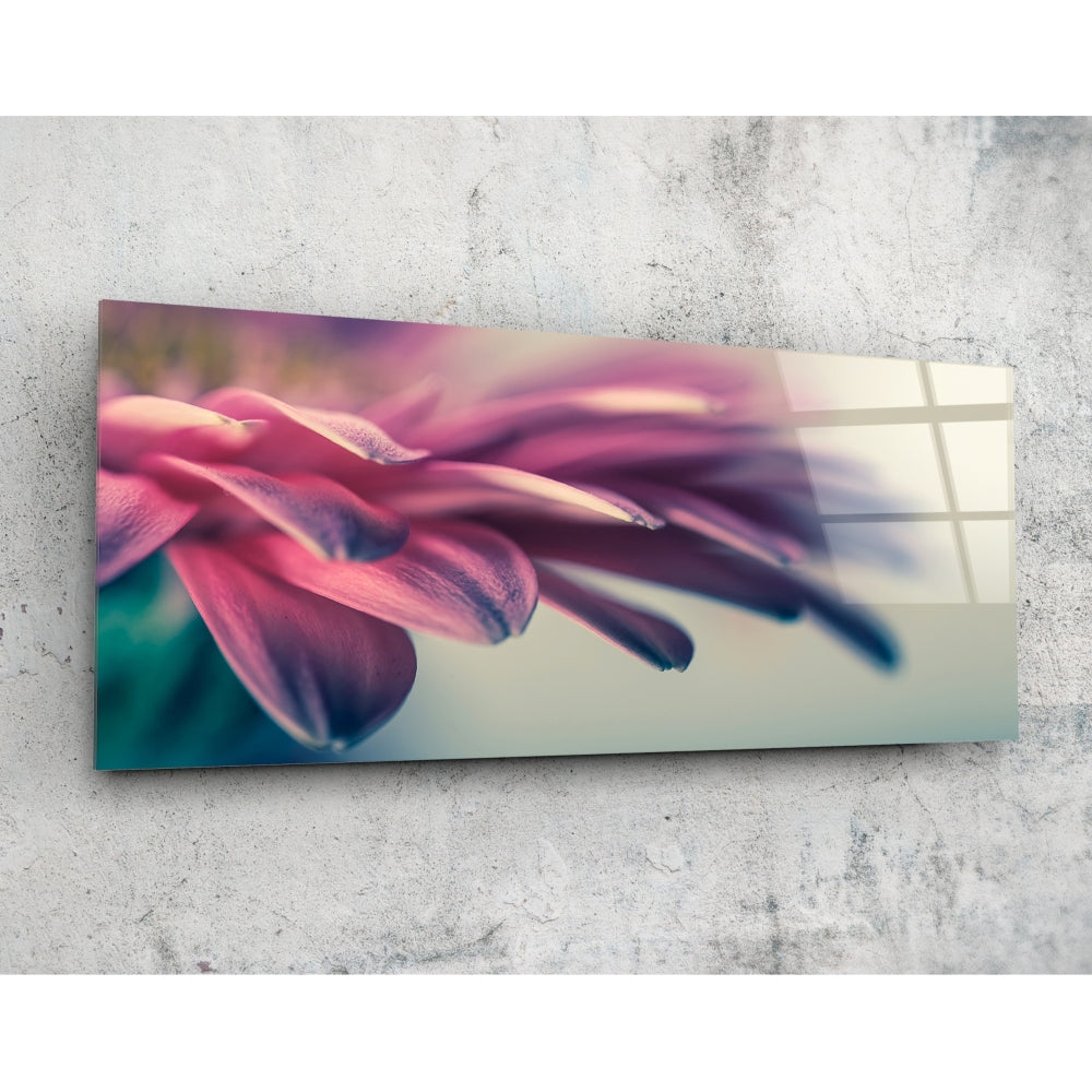 Close-up of pink and magenta flower petals with soft focus, displayed on frosted glass panel against concrete background.