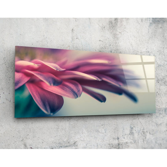 Close-up of pink and magenta flower petals with soft focus, displayed on frosted glass panel against concrete background.