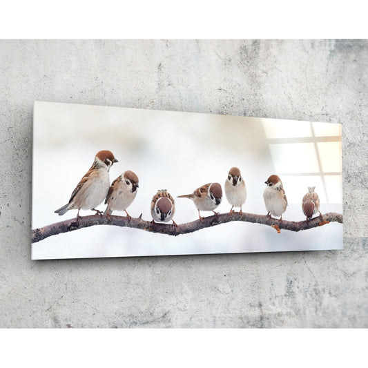 Seven brown and white sparrows perched on a dark branch against a white background on a glass panel mounted on concrete wall.