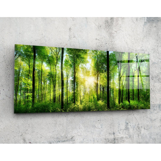 Glass wall art panel mounted on concrete wall showing sunlit forest canopy with tall trees and bright green foliage.