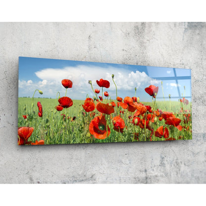 Glass wall art panel mounted on concrete surface displaying vibrant red poppies in green field under blue sky with clouds.