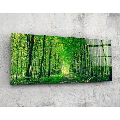 Leafy Tunnel Woodland Path Glass Wall Art
