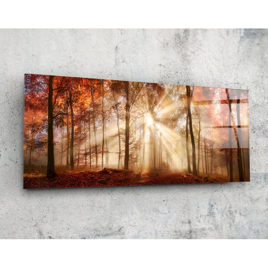 Glass wall art panel mounted on concrete wall displaying a misty autumn forest with golden sunlight rays filtering through bare trees and red-brown foliage.