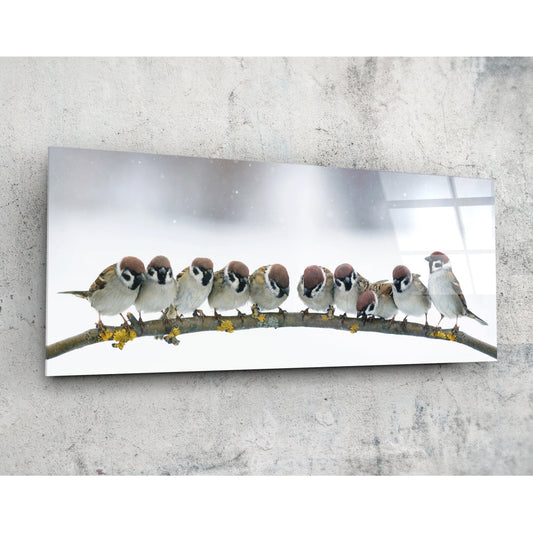 Glass wall art mounted on concrete showing ten brown and white sparrows perched on a lichen-covered branch against white background.