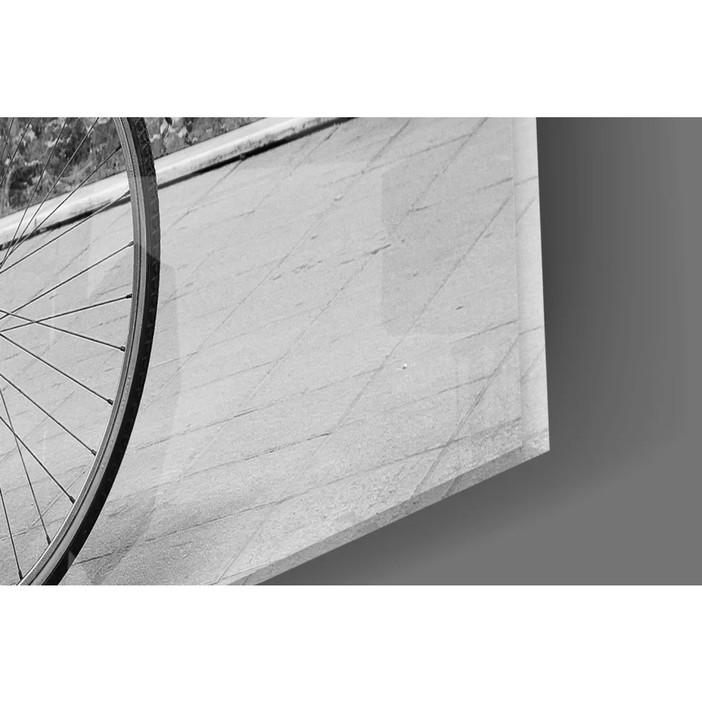 Vintage black bicycle wheel with red flowers wall art print