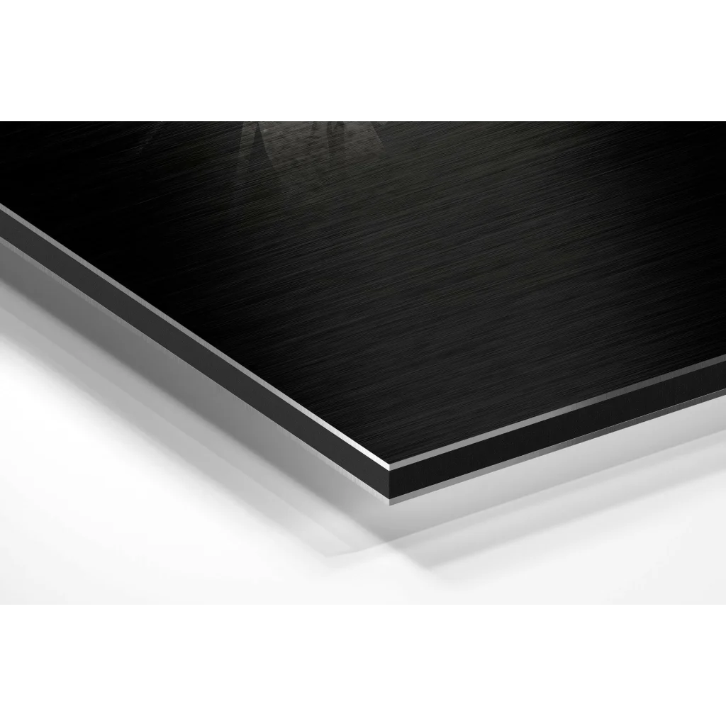 Glass Wall Art Stunning eagle brushed aluminium dibond metal wall art print