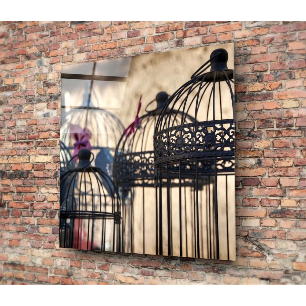Stunning Black Birdcage Tempered Glass Art for Your Wall | Modern Wall Art Decor | vintageantiquesgifts.com