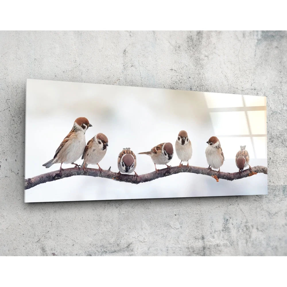 Sparrows on snowy branch tempered glass art print