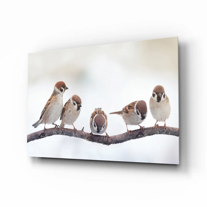 Snowy sparrows glass wall art canvas print with five birds on snowy branch
