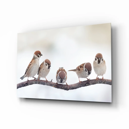 Snowy sparrows glass wall art canvas print with five birds on snowy branch