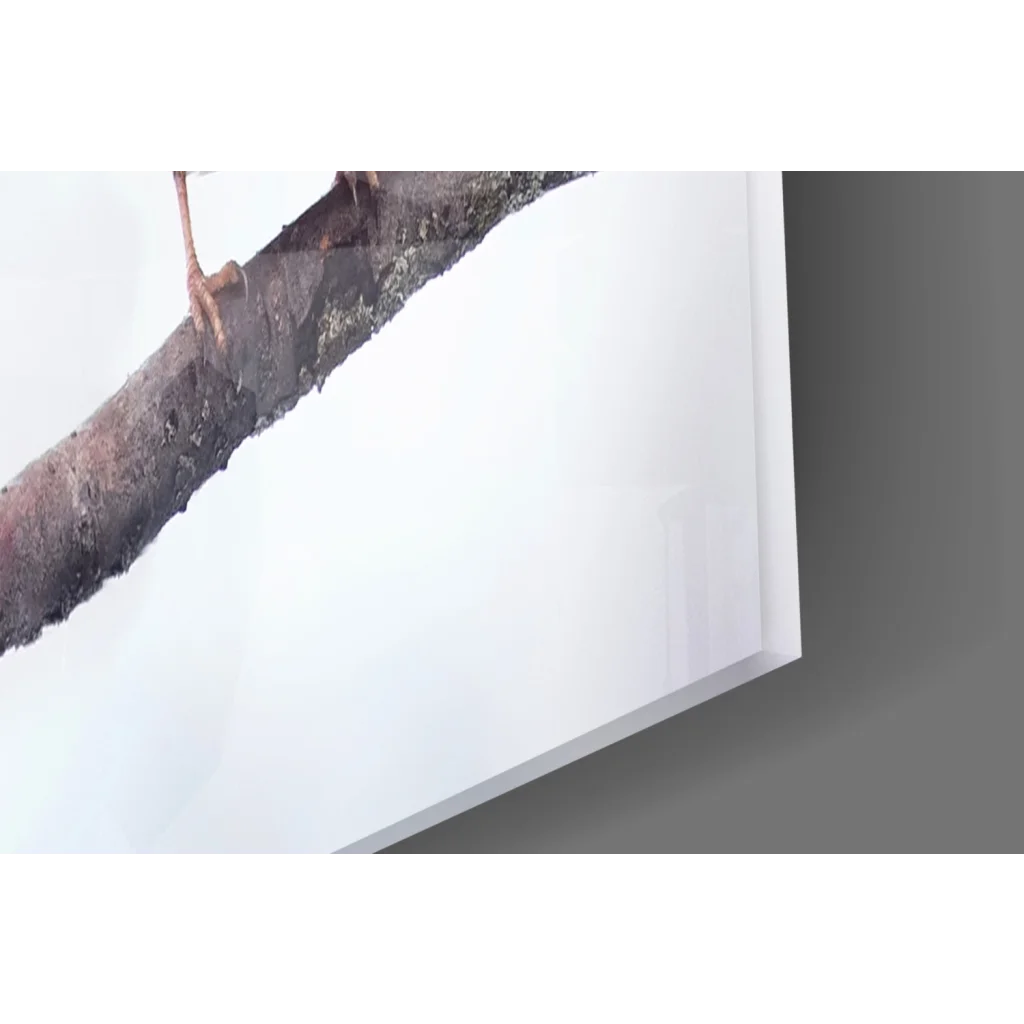 Mossy brown tree branch with bird’s foot in Snowy Sparrows glass wall art print