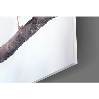 Mossy brown tree branch with bird’s foot in Snowy Sparrows glass wall art print