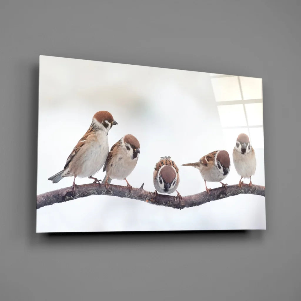 Snowy sparrows glass wall art canvas print with five birds on snowy branch