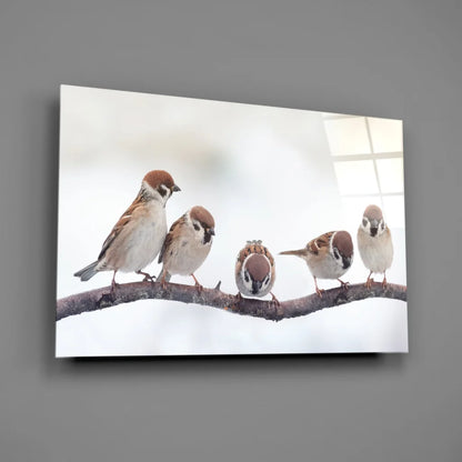 Snowy sparrows glass wall art canvas print with five birds on snowy branch