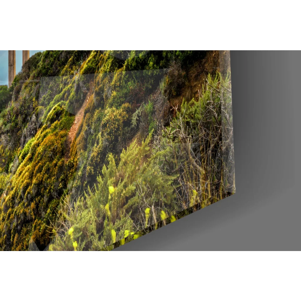 Green moss-covered stone wall art print on canvas