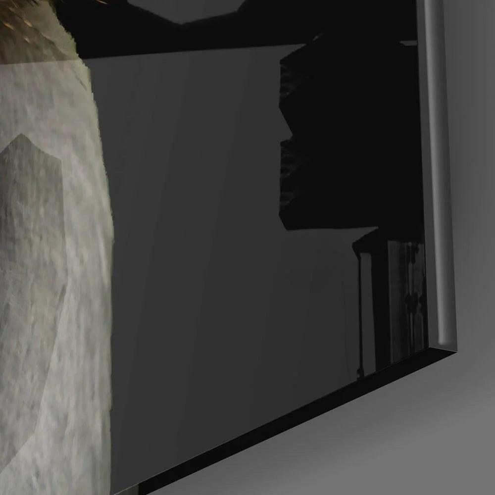 Sleek black framed dark reflective mirror in Crowned Crane Glass Wall Art