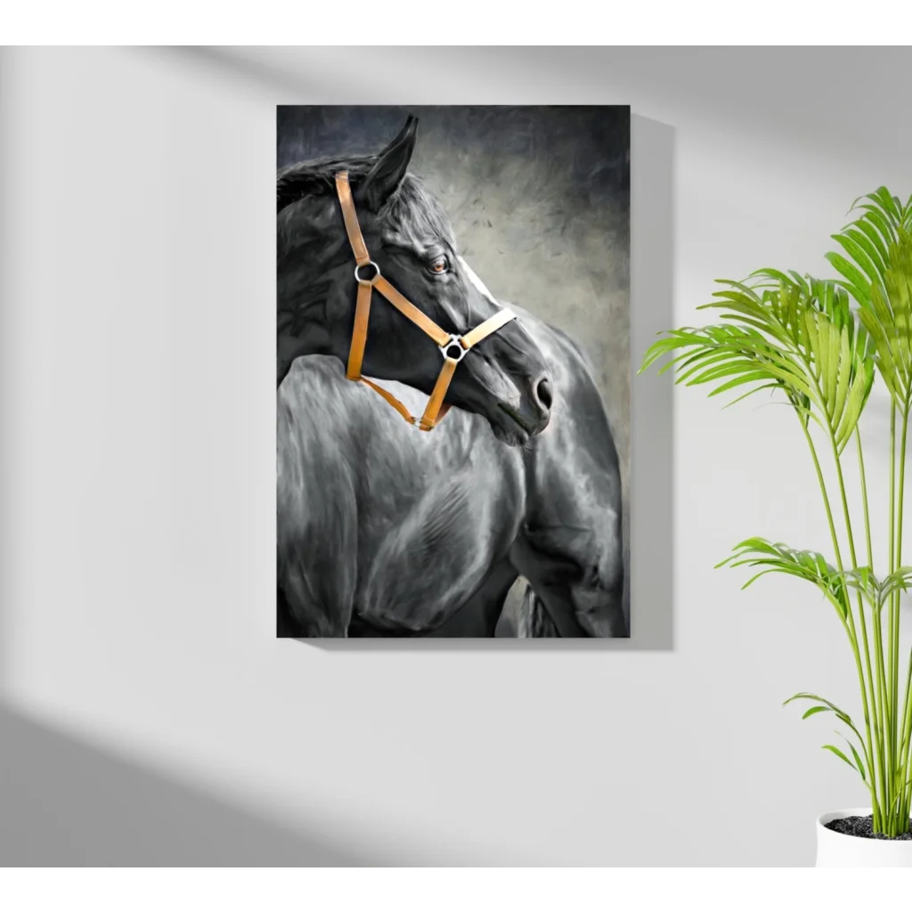 Stunning black horse portrait on insigne aluminum print with tan leather halter