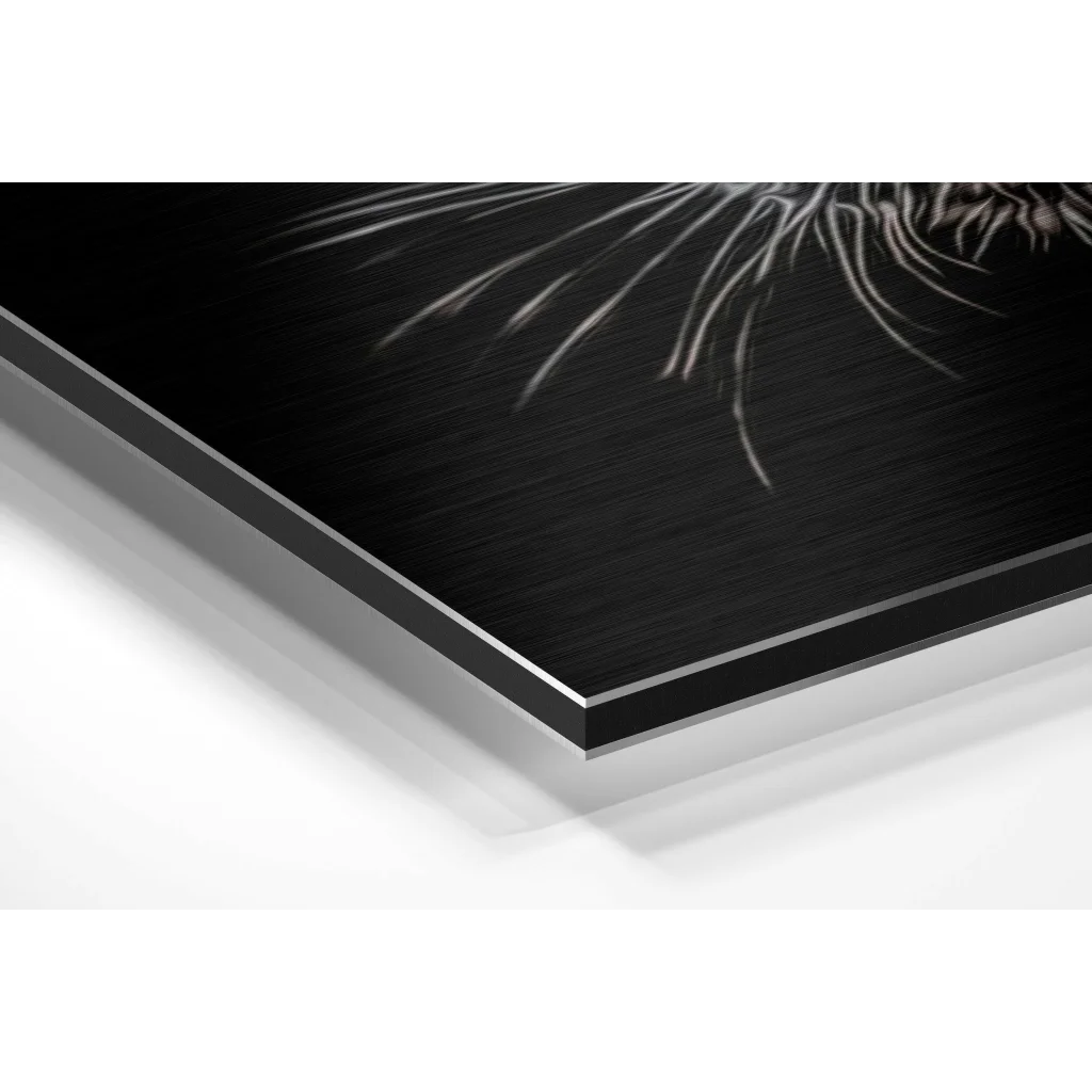 Stunning brushed aluminium dibond metal art with white etched radiating lines