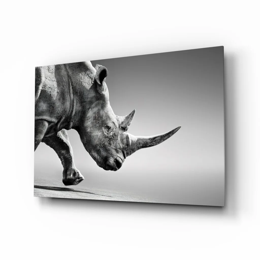 Charging Rhino Canvas Wall Art in Stunning Black and White | Insigneart USA | vintageantiquesgifts.com