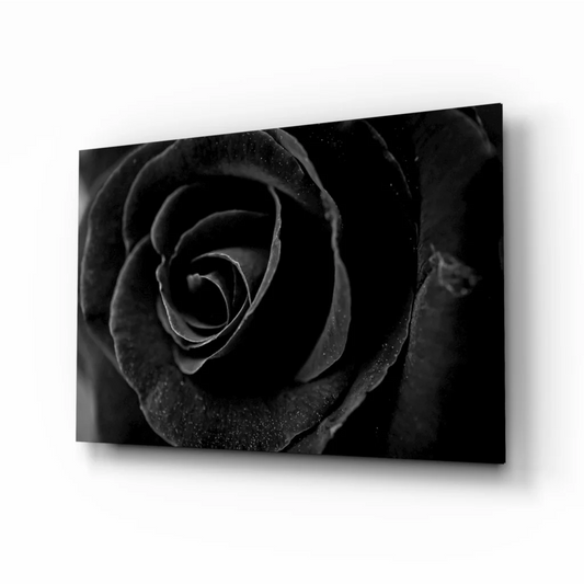 Stunning black and white rose canvas wall art print
