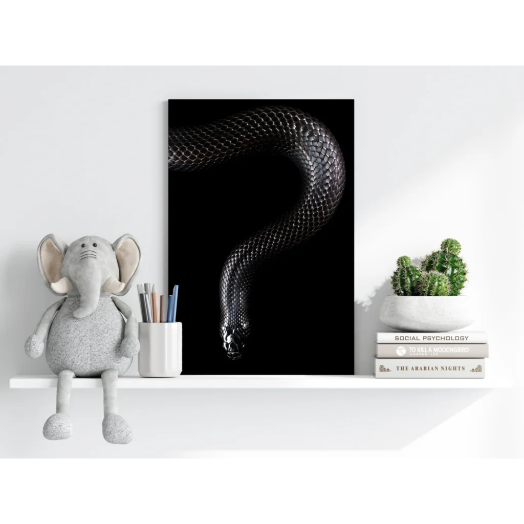Glossy black snake on insigne aluminum prints with textured scales