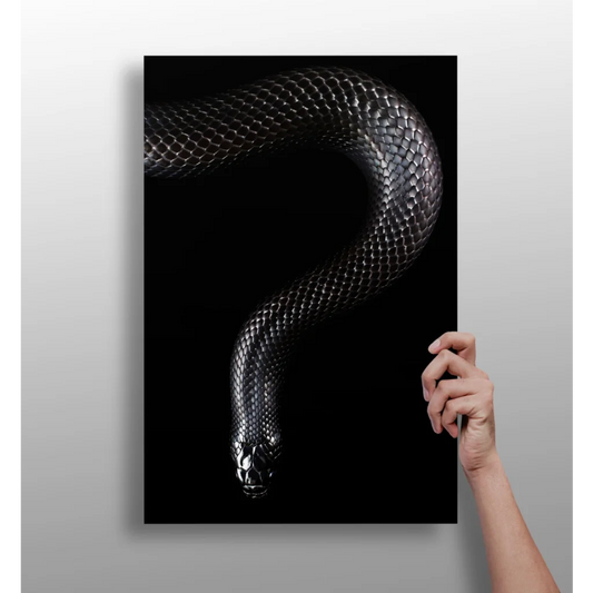 Glossy Black Snake Insigne Aluminum Prints | Insigneart USA | vintageantiquesgifts.com