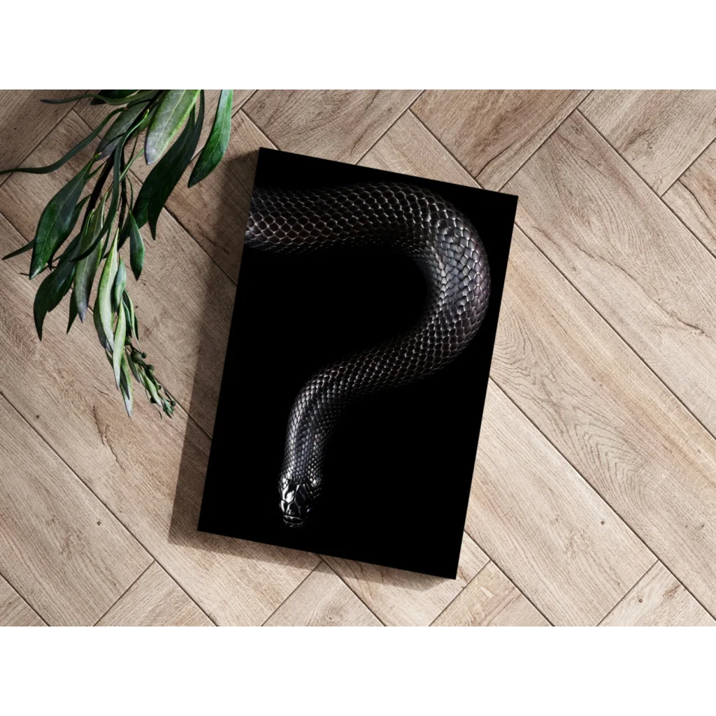 Glossy black snake coiled on Insigne aluminum print