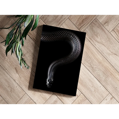 Glossy black snake coiled on Insigne aluminum print