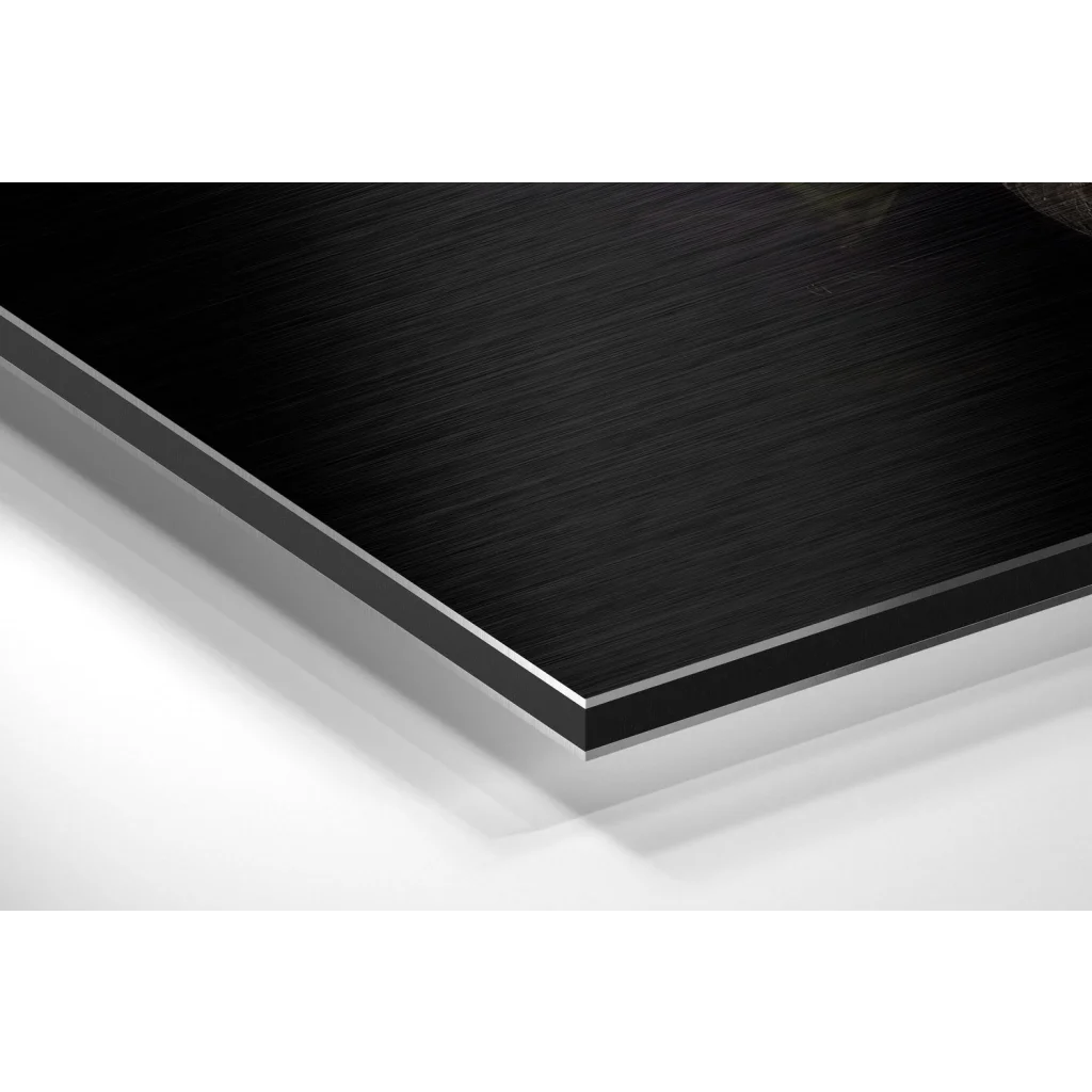 Glass Wall Art Sleek black brushed aluminium dibond wall art print